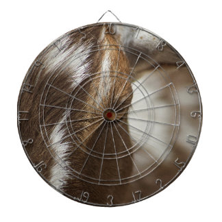 ヤギ ダーツボード