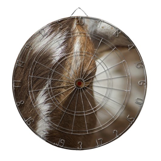 ヤギ ダーツボード (正面)