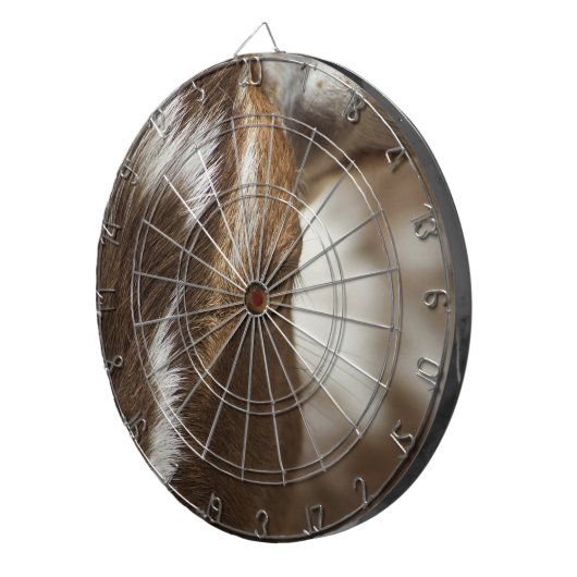 ヤギ ダーツボード (正面右)