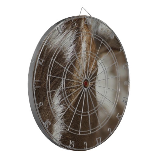 ヤギ ダーツボード (正面左)