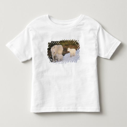 ヤギ トドラーTシャツ (正面)