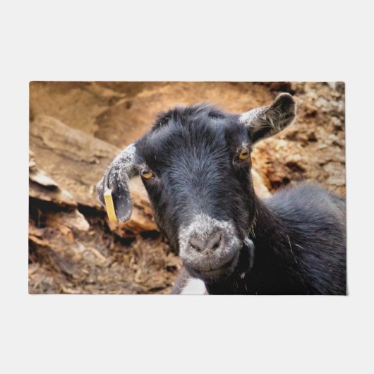 ヤギ ドアマット (正面)