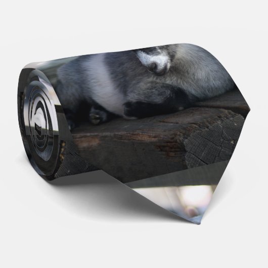 ヤギ ネクタイ (ロール)