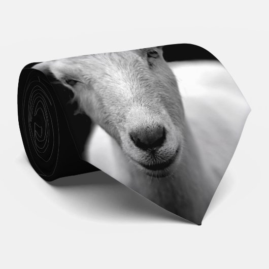 ヤギ ネクタイ (ロール)