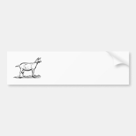 ヤギ バンパーステッカー (正面)