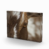 ヤギ フォトブロック (右)