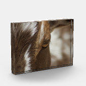 ヤギ フォトブロック (左)