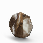 ヤギ フォトブロック (右)