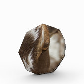 ヤギ フォトブロック (左)