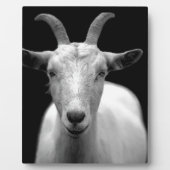 ヤギ フォトプラーク (正面)
