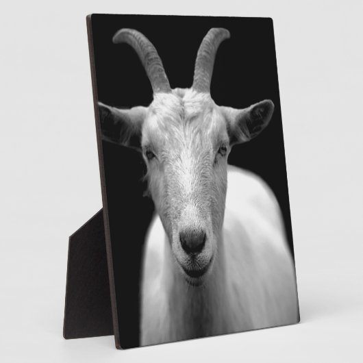 ヤギ フォトプラーク (側面)
