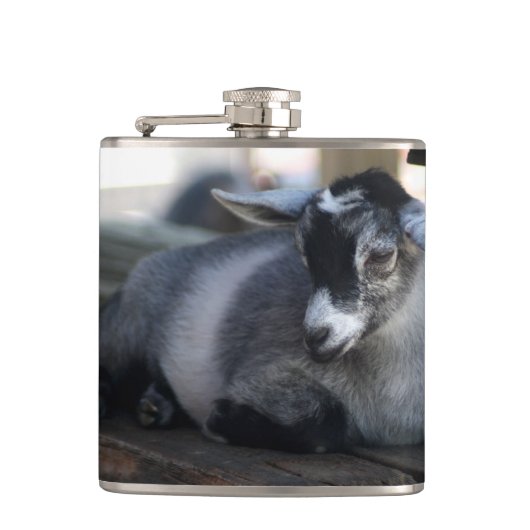 ヤギ フラスク (正面)