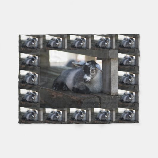 ヤギ フリースブランケット (正面(横))