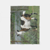 ヤギ フリースブランケット (正面)