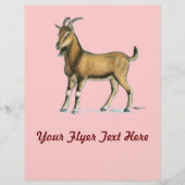 ヤギ：ブラウン チラシ (正面)