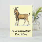 ヤギ：ブラウン 招待状 (スタンド正面)