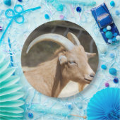 ヤギ ペーパープレート (パーティー)