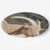 ヤギ ペーパープレート (アングル)