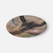 ヤギ ペーパープレート (アングル)