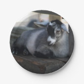 ヤギ ペーパープレート (正面)