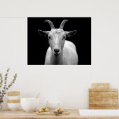 ヤギ ポスター (キッチン)