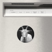 ヤギ マグネット (インサイチュ (食洗機))