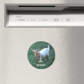 ヤギ マグネット (インサイチュ (食洗機))