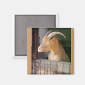 ヤギ マグネット (正面/裏面)