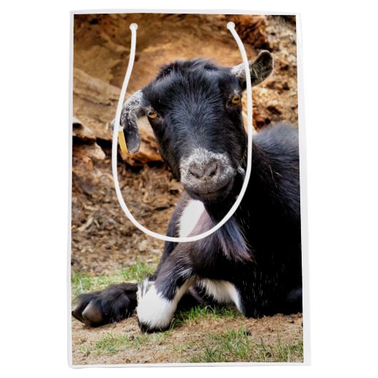 ヤギ ミディアムペーパーバッグ (正面)