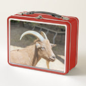 ヤギ メタルランチボックス (正面)