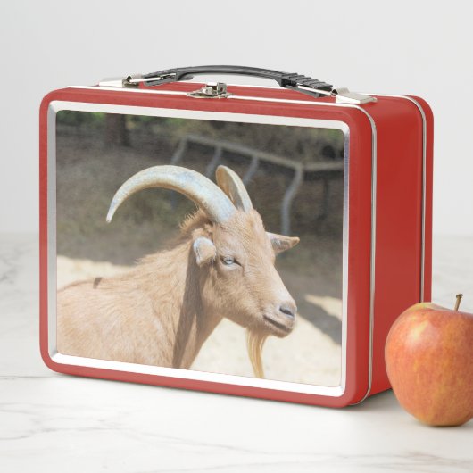 ヤギ メタルランチボックス (インサイチュ)