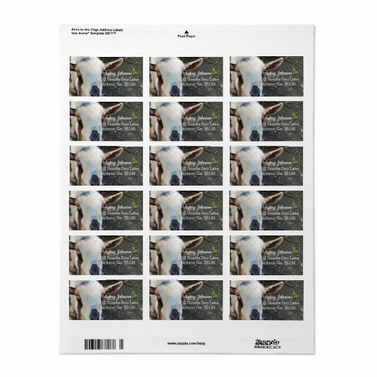 ヤギ ラベル (フルシート)