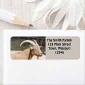 ヤギ ラベル (インサイチュ)