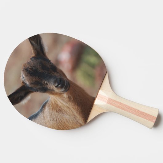 ヤギ 卓球ラケット (横)