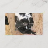 ヤギ 名刺 (裏面)