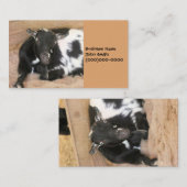 ヤギ 名刺 (正面/裏面)
