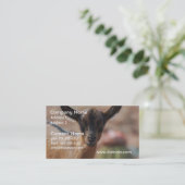 ヤギ 名刺 (スタンド正面)