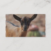 ヤギ 名刺 (裏面)