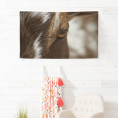 ヤギ 横断幕 (インサイチュ)