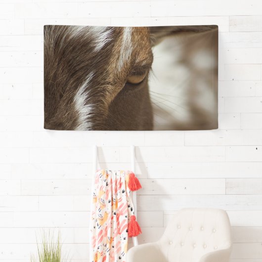 ヤギ 横断幕 (インサイチュ)