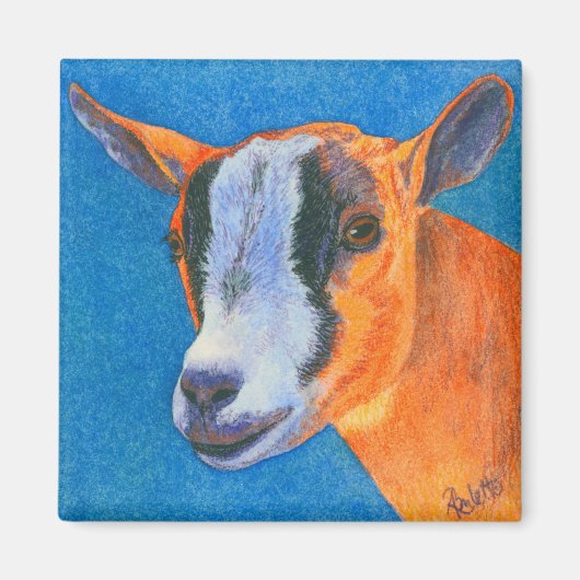 ヤギ#2マグネット – Pygmy Goat マグネット (正面)