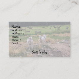 ヤギ「nの干し草 名刺