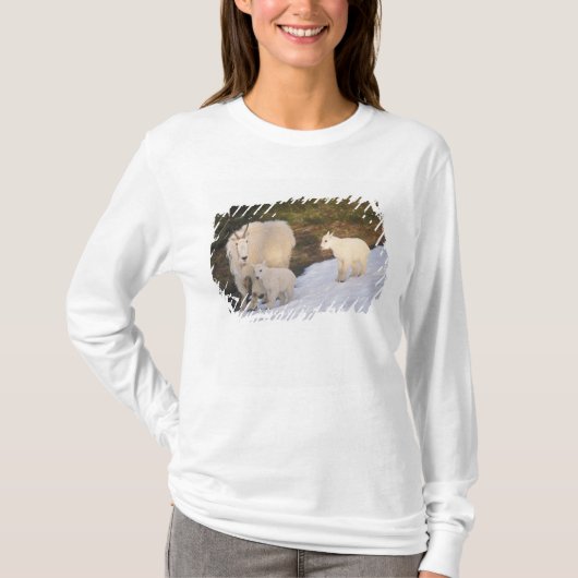 ヤギ Tシャツ (正面)