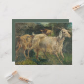 ヤギ（Vincenzo Caprile著） カード (正面/裏面インサイチュ)