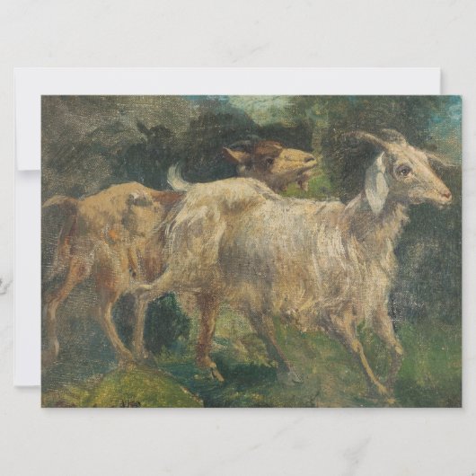 ヤギ（Vincenzo Caprile著） カード (正面)
