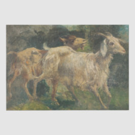 ヤギ（Vincenzo Caprile著） 薄葉紙