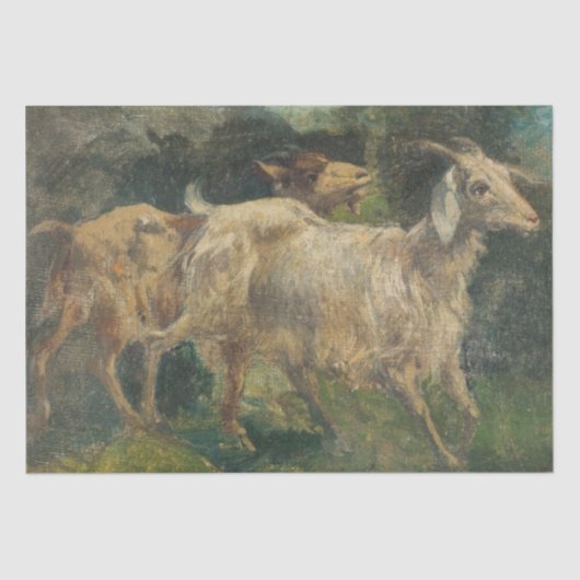 ヤギ(Vincenzo Caprile著) 薄葉紙 (正面)