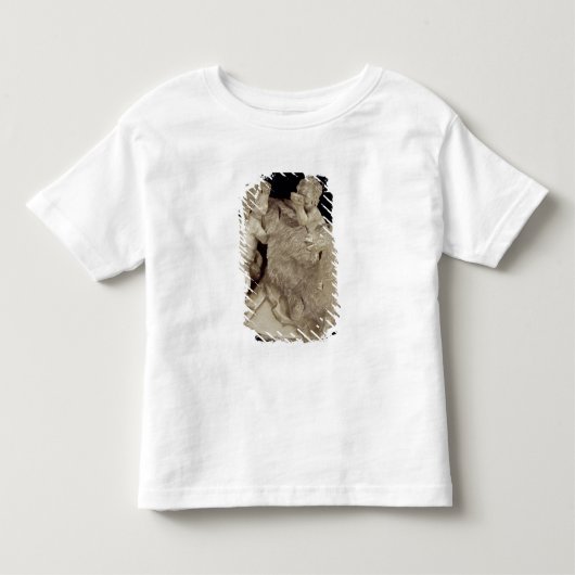 ヤギAmalthea、c.1615 トドラーTシャツ (正面)
