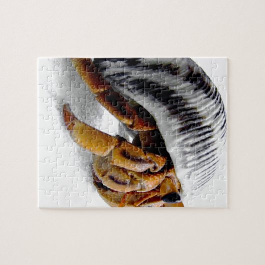 ヤクガニ ジグソーパズル (横)