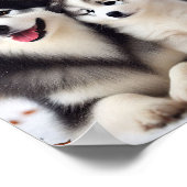 ヤクティアンライカ犬の母と子犬 ポスター (角)